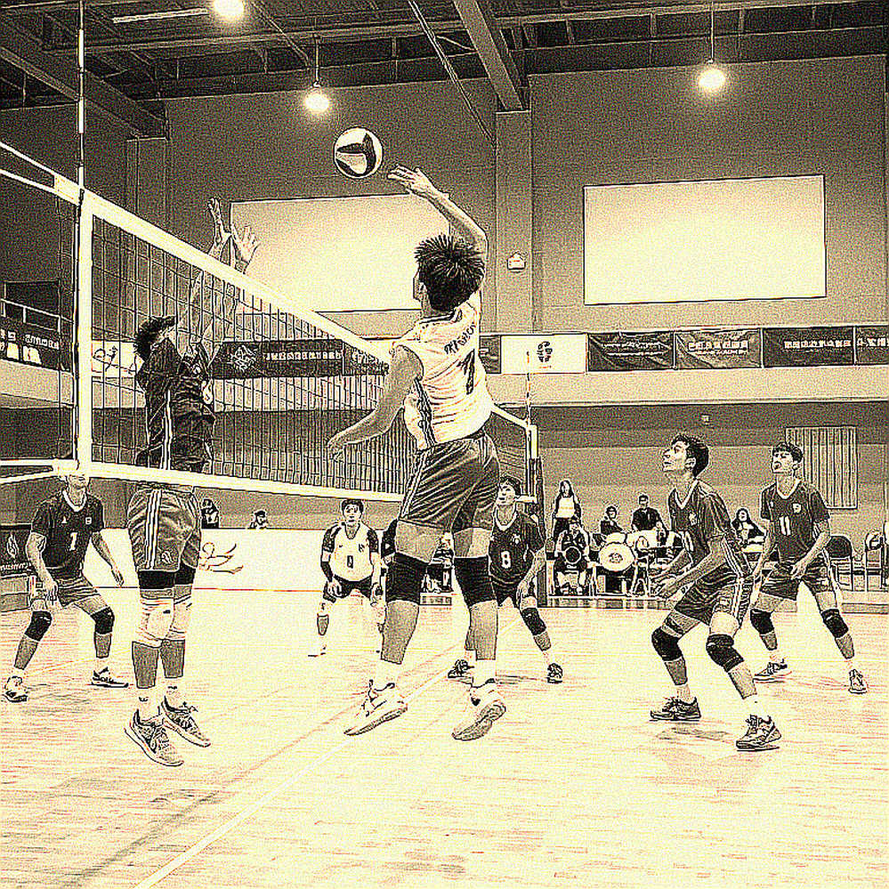 Cameroon vào chung kết CAVB, giành vé World Championship 2027: Chiến thắng được đo bằng hai điểm cuối