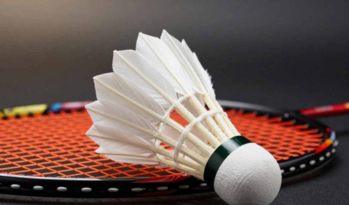 Rally Length and the Data Gap in Vietnamese Badminton Rally Length and the Data Gap in Vietnamese Badminton