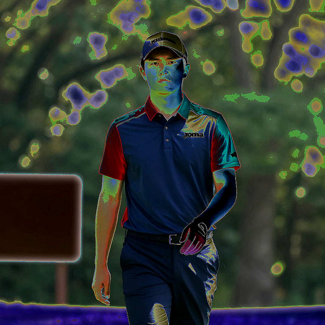86% chiến thắng PGA Tour: Cuộc cách mạng thầm lặng của putter mallet