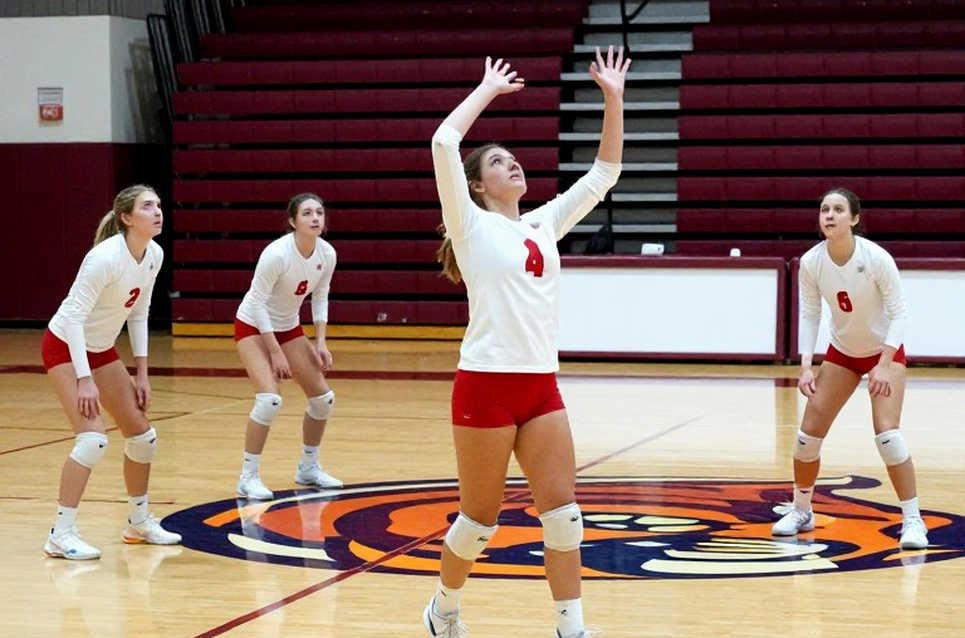 Chuyển nhượng bóng chuyền Việt Nam: khi bảng dữ liệu trắng là tín hiệu đáng tin nhất